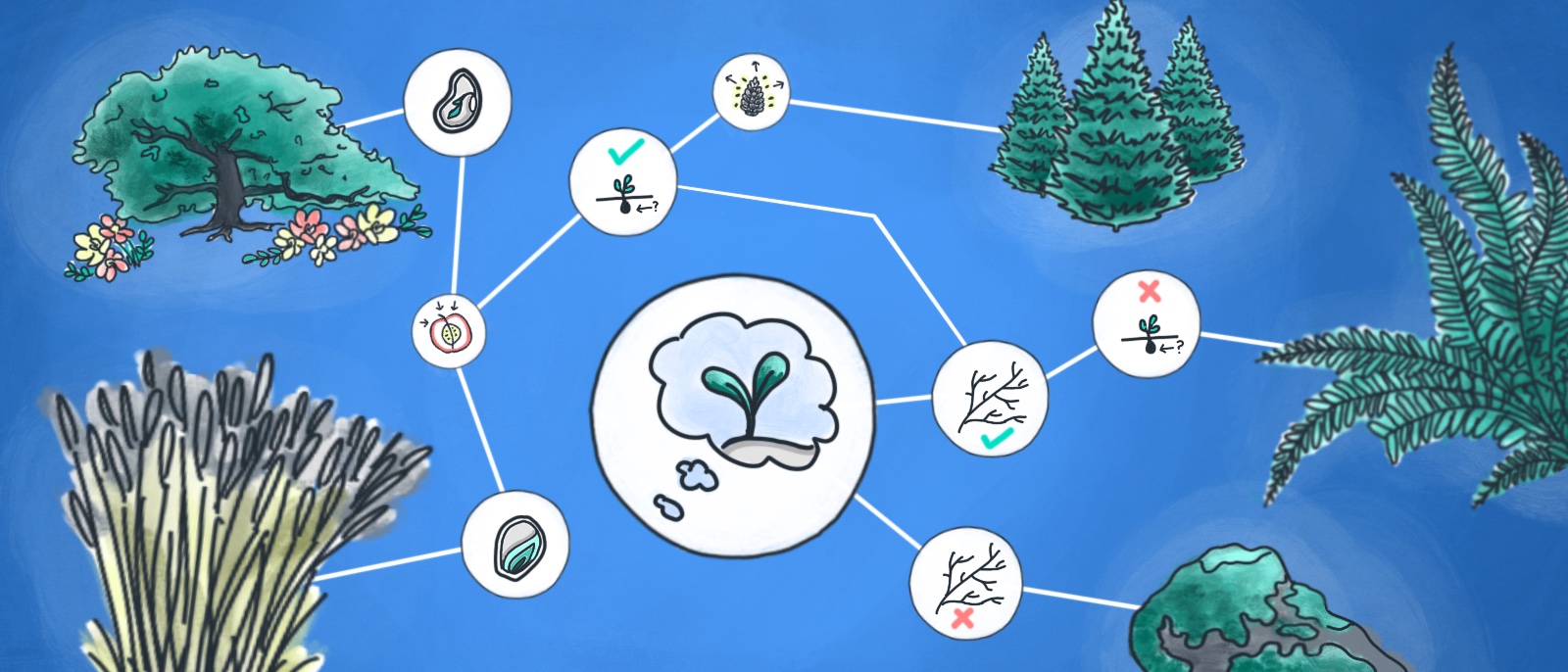 what is a cluster diagram