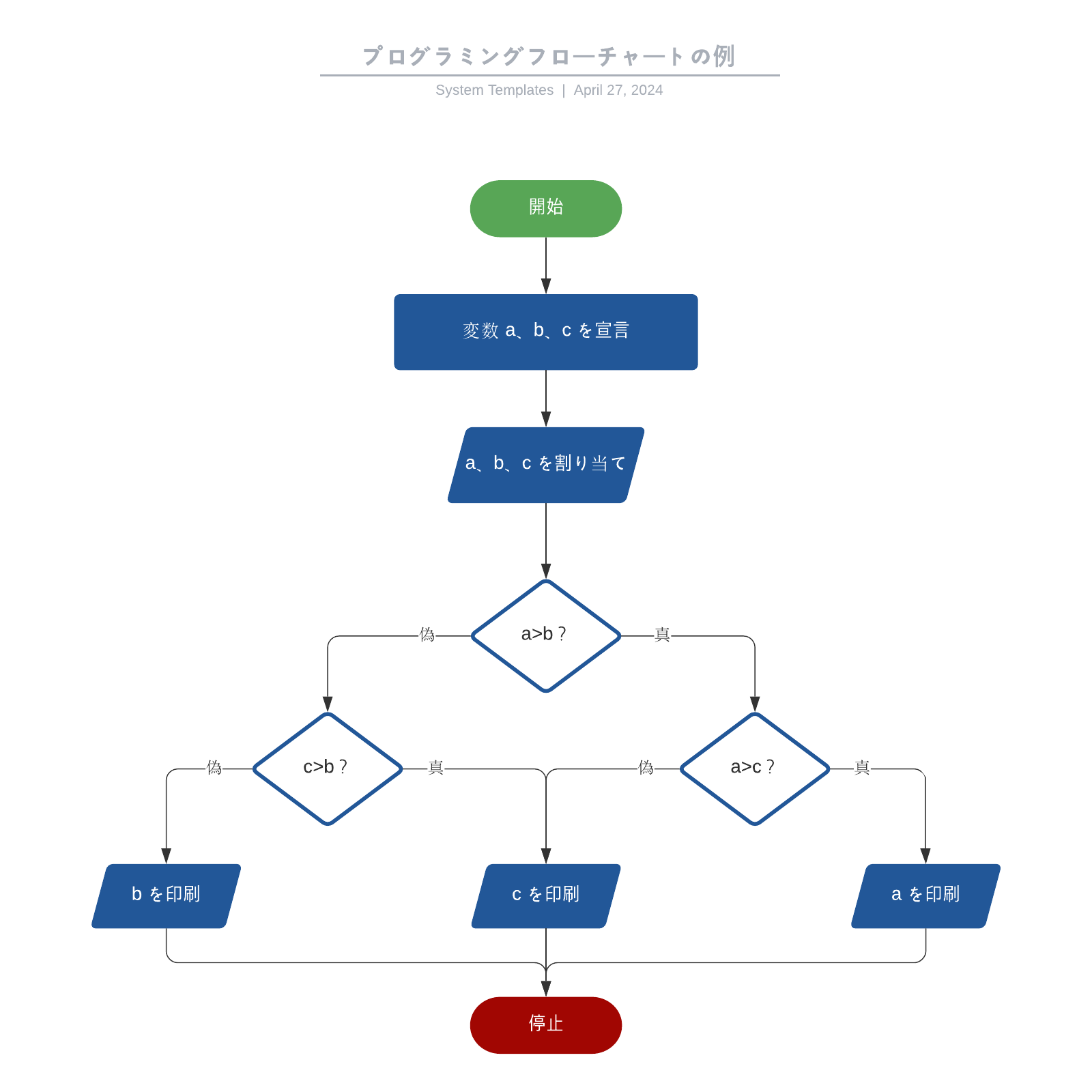 プログラミングのためのフローチャート事例テンプレート
