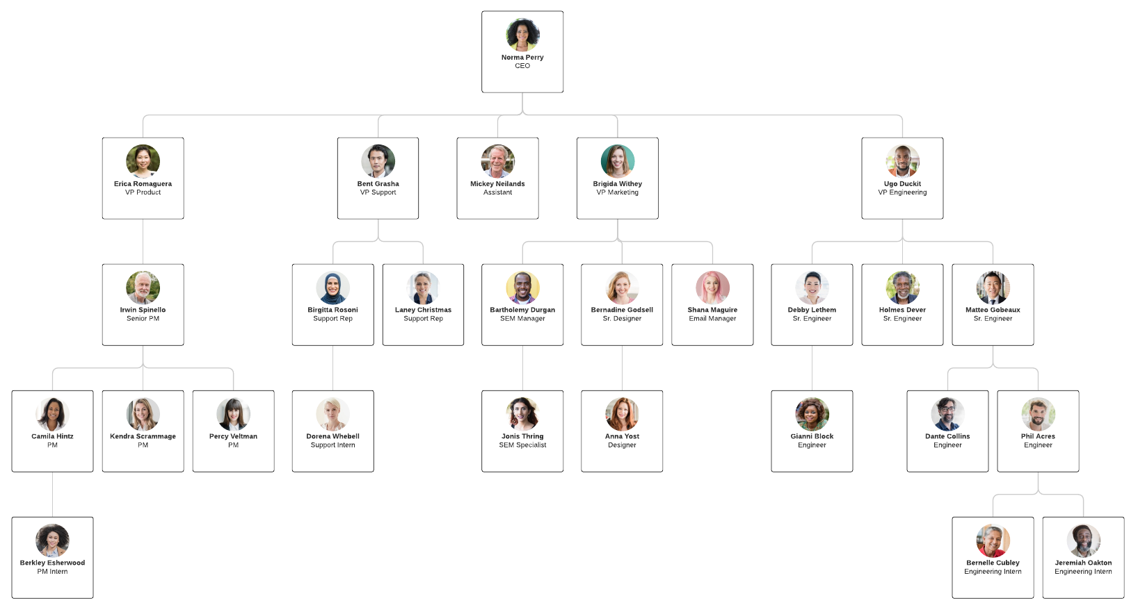 modello di organigramma gerarchico