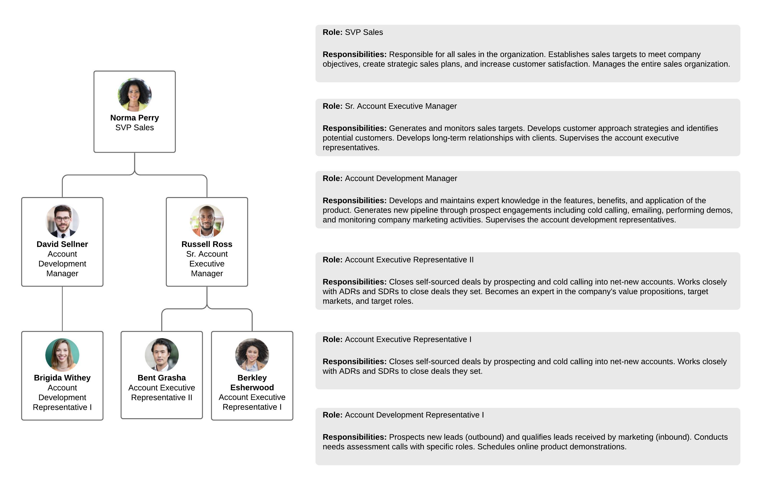 roles org chart template