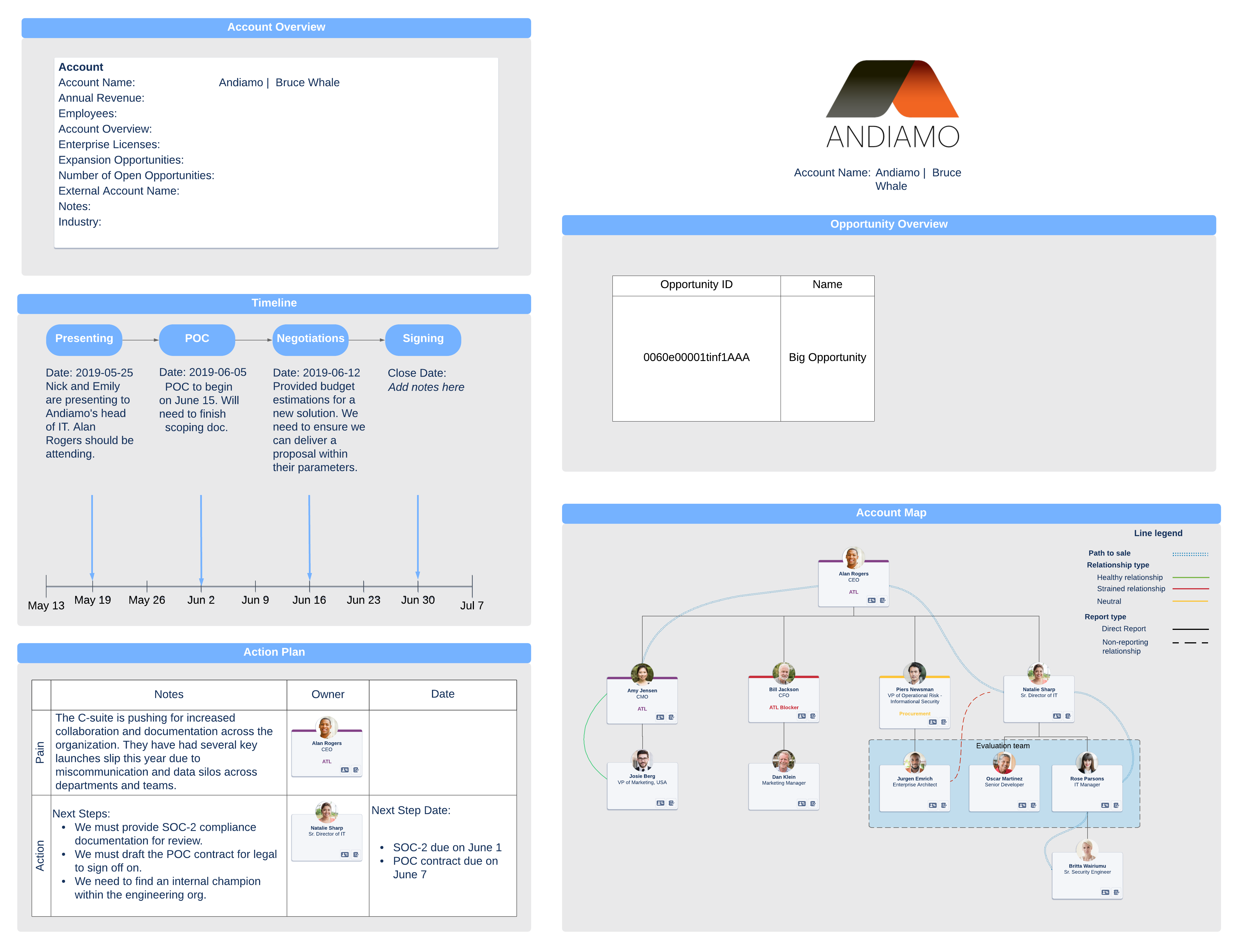 account plan example template