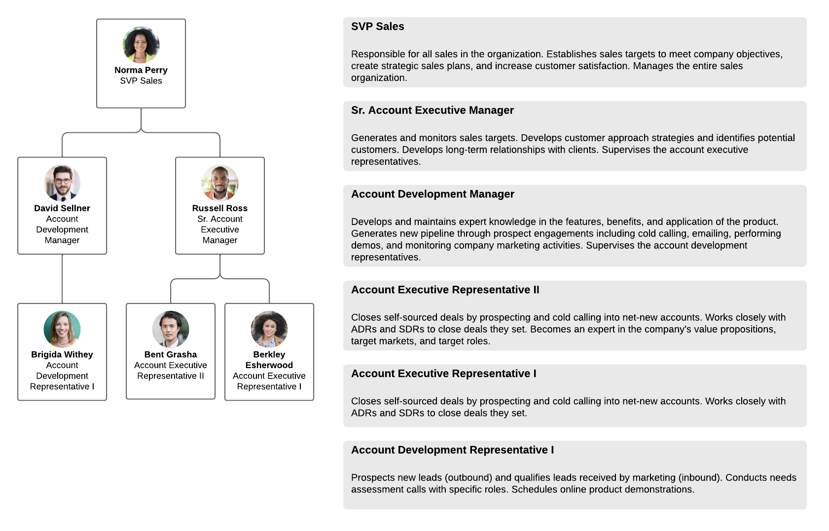 Roles and responsibilities framework example (click on image to edit)