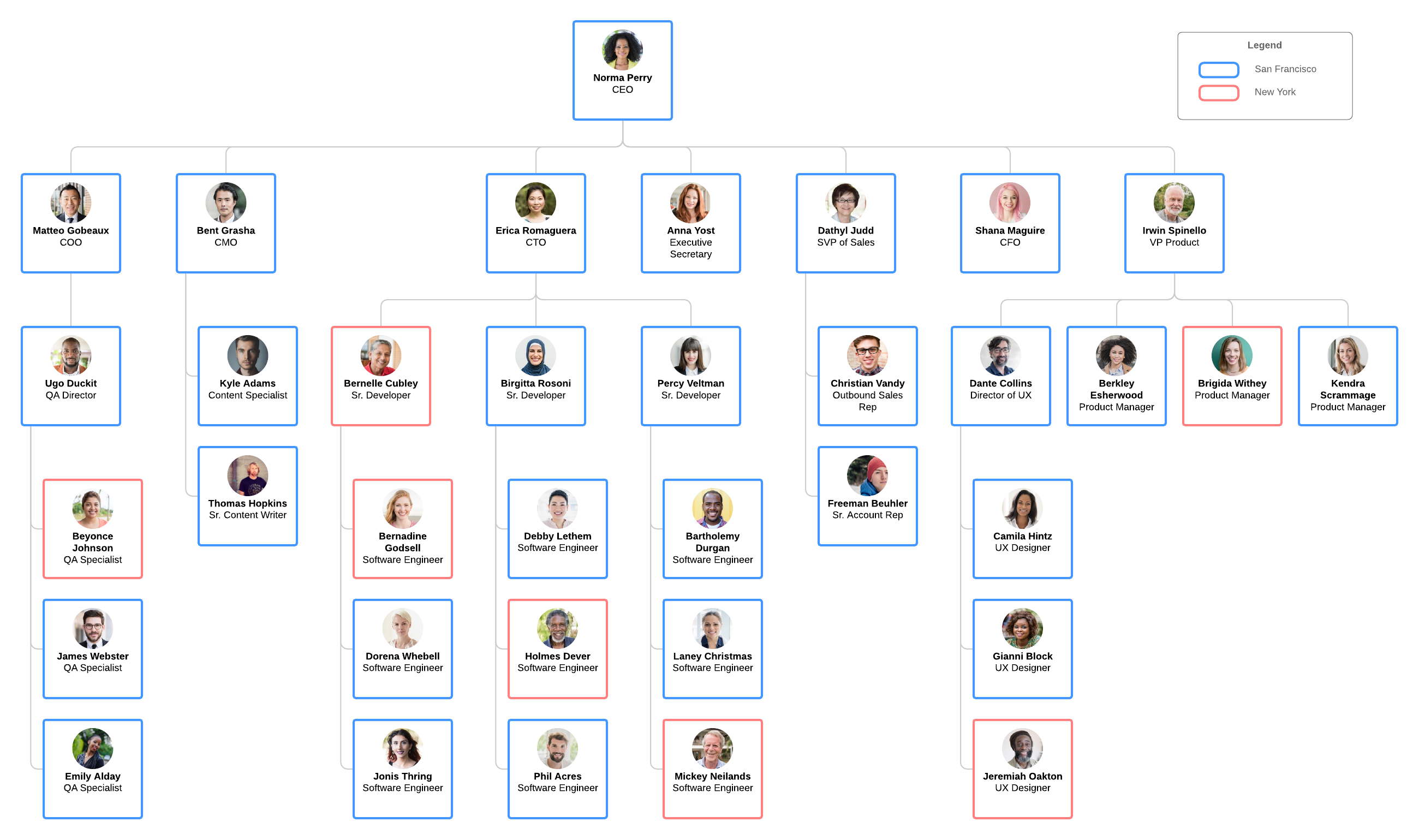 modello di organigramma per business