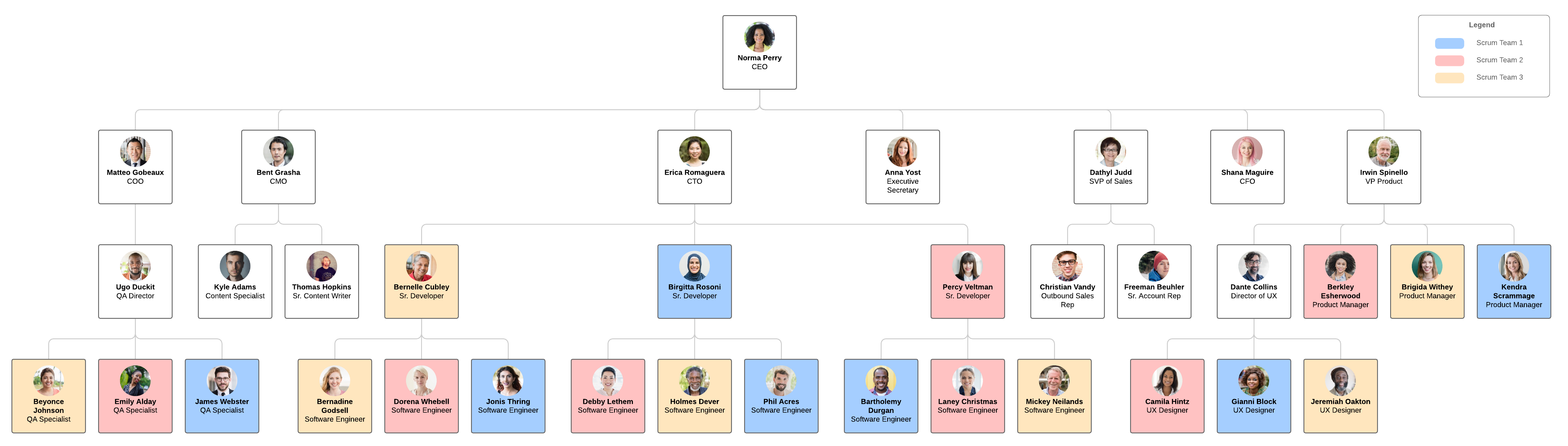 modello di organigramma per progetto