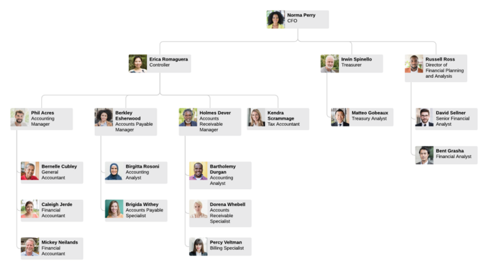 accounting org chart template