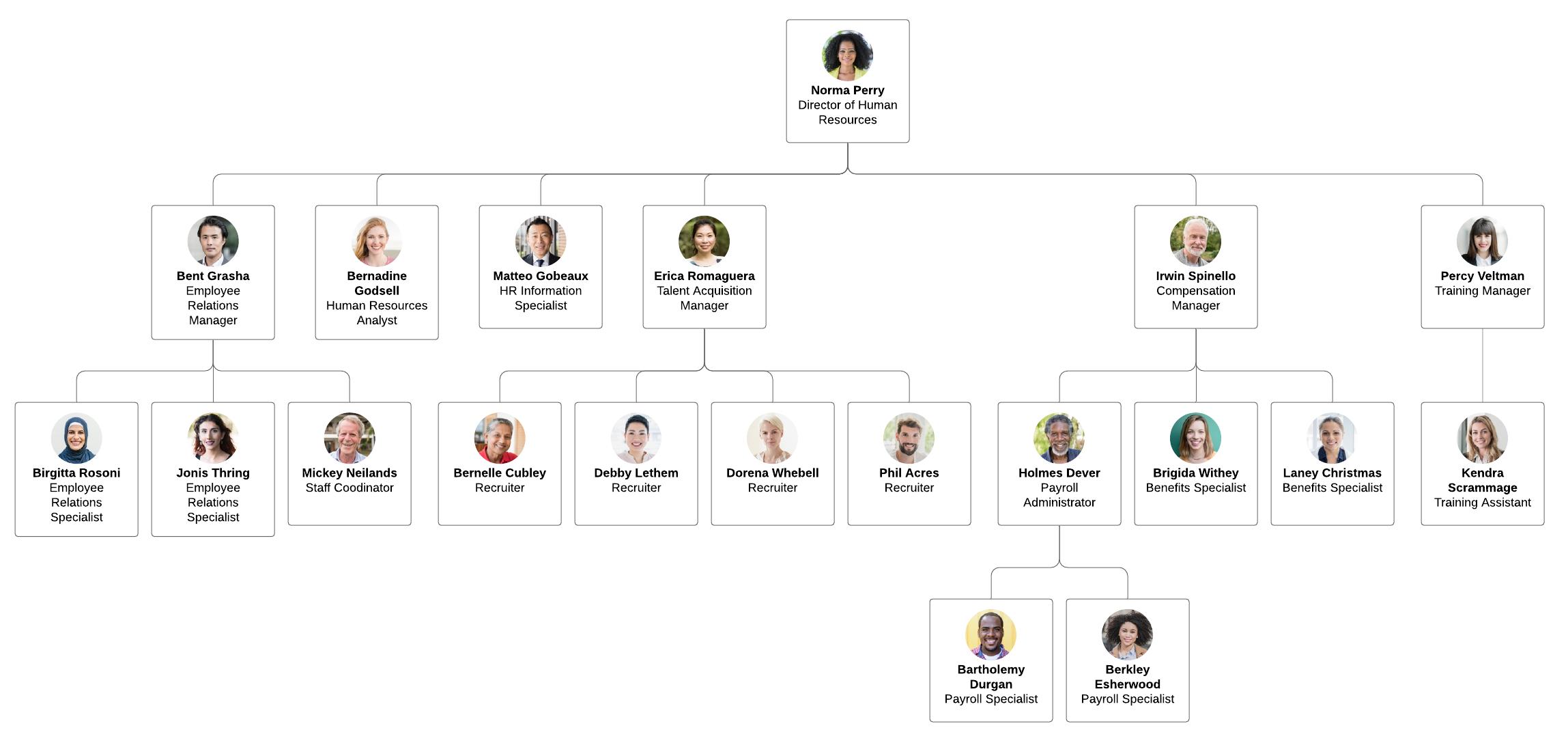 Modello di organigramma HR