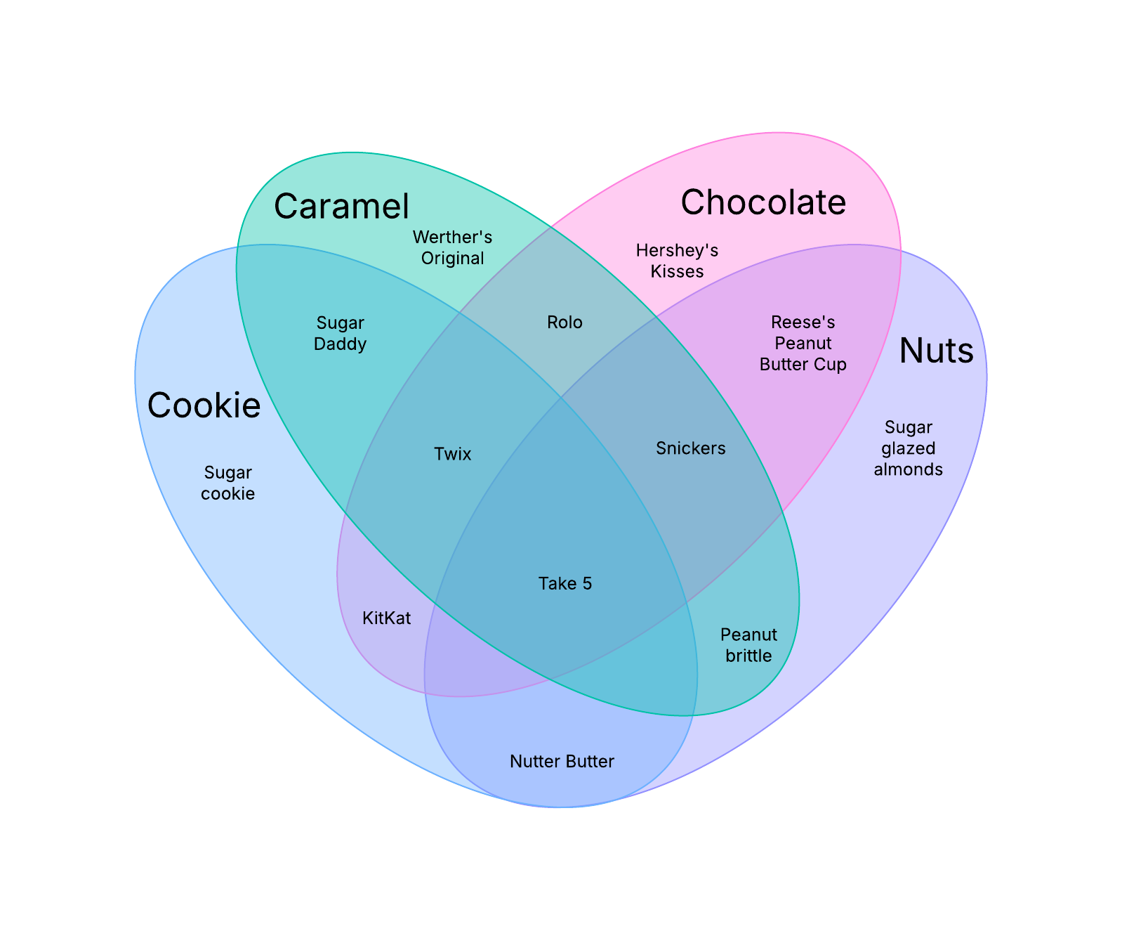 Four-set Venn diagram example template. Click on image to modify online.