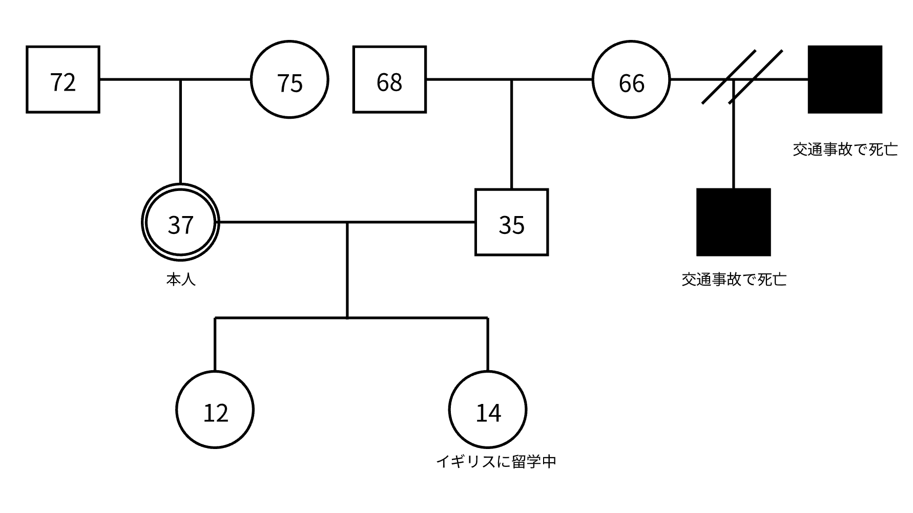 ジェノグラム完成テンプレート
