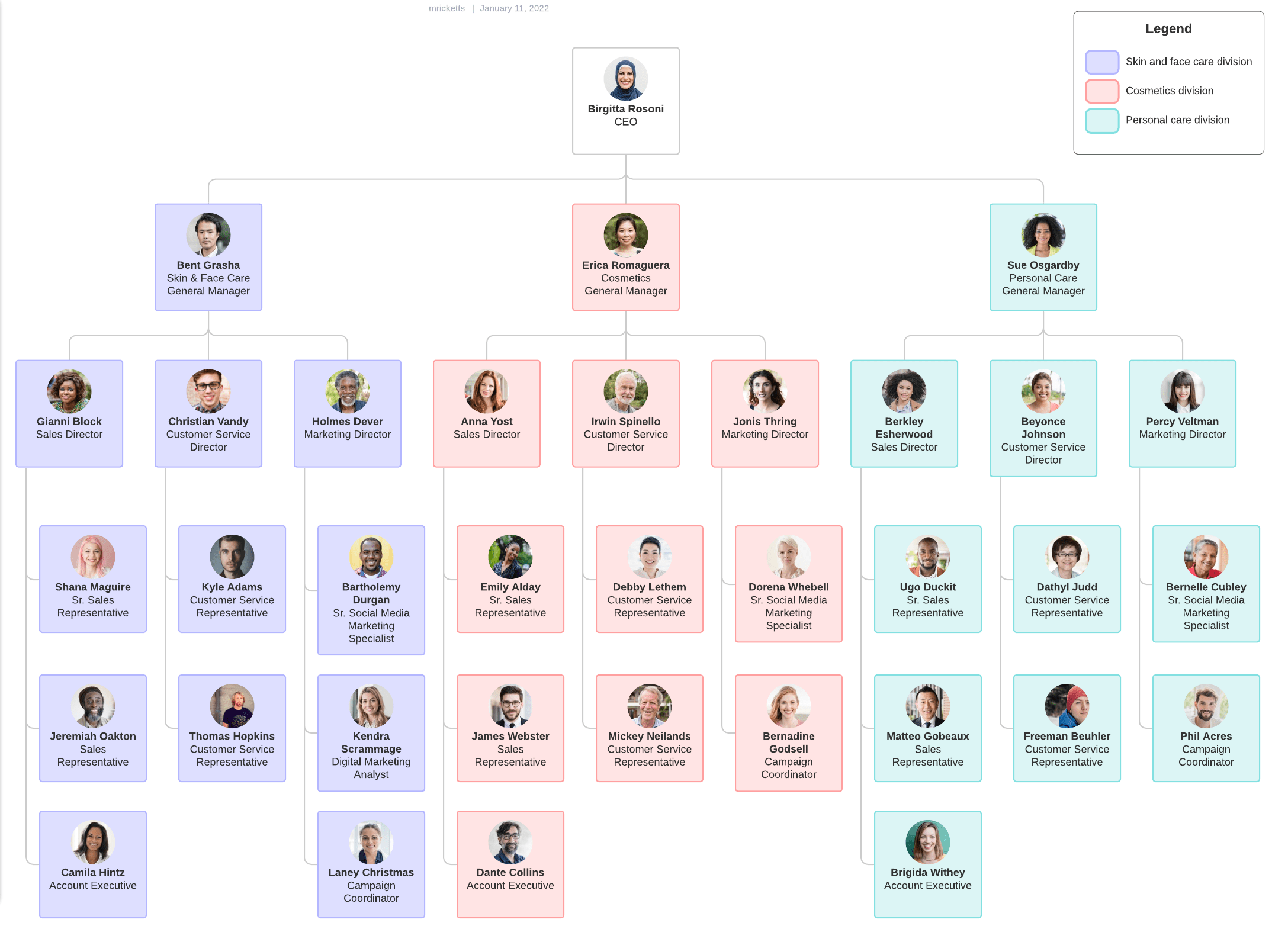 Product-based divisional org chart example (click on image to modify online)