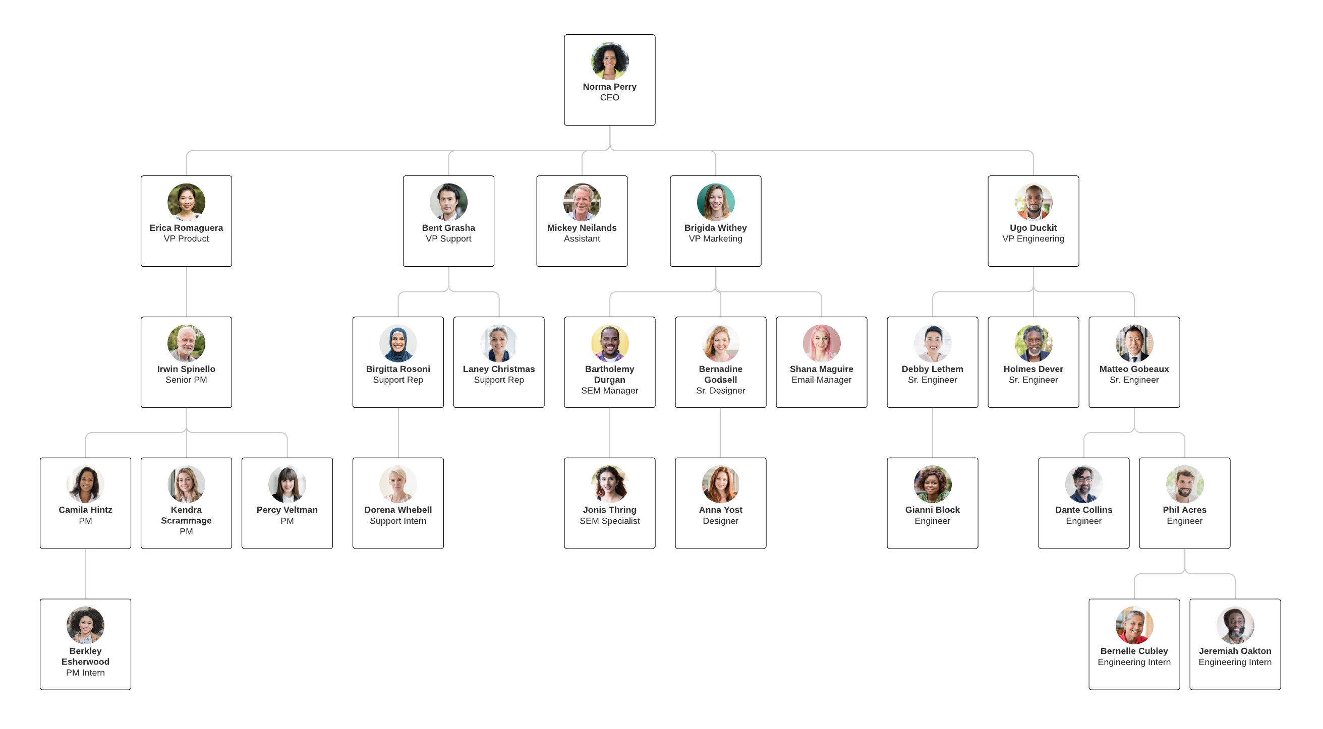 Org chart template for project structure (Click on image to modify online)
