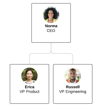 Example org chart showing a CEO and two direct reports