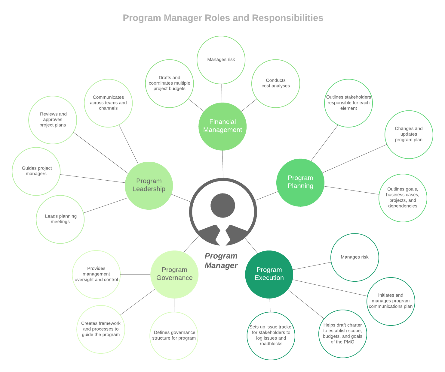 Program manager roles and responsibilities (Click on image to modify online)