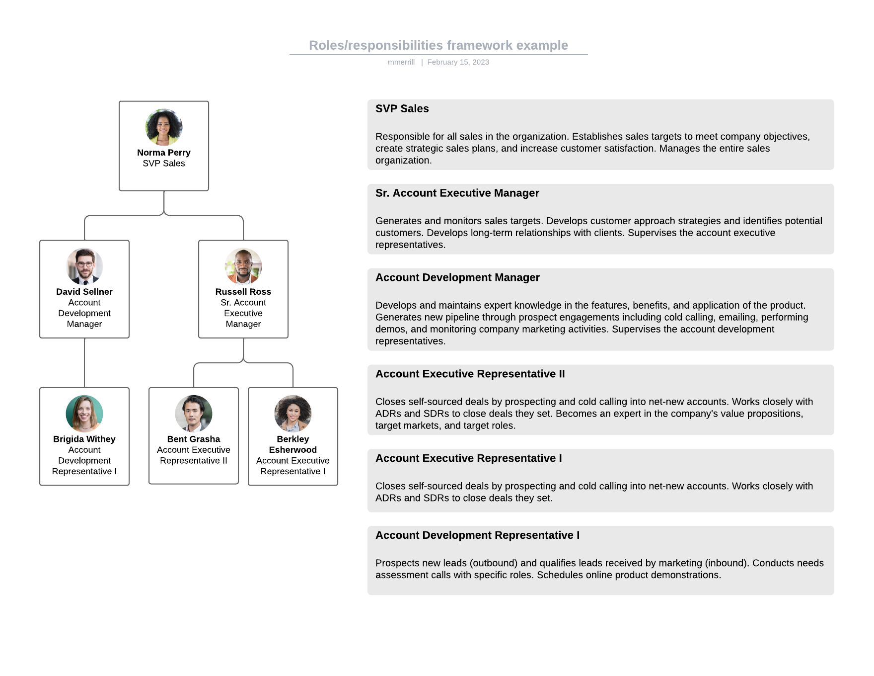 Roles and responsibilities framework template example (click to edit online)