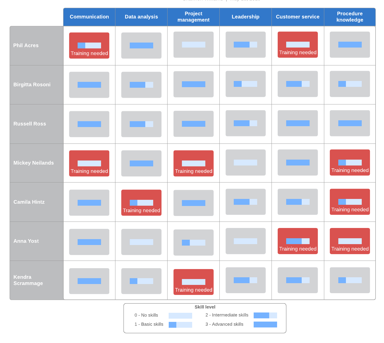 Competency Matrix Example (Click on image to modify online)
