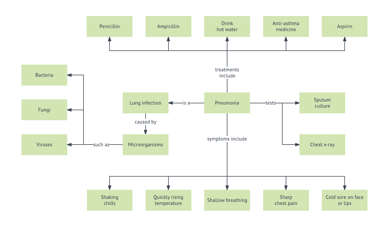 Concept Map Beispiel zum Thema Lungenentzündung(klicken Sie auf das Bild, um sie online zu bearbeiten)