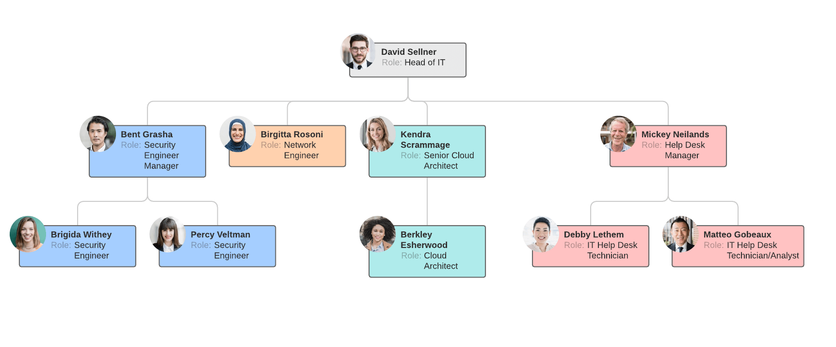 Functional org chart example (click on image to modify online)
