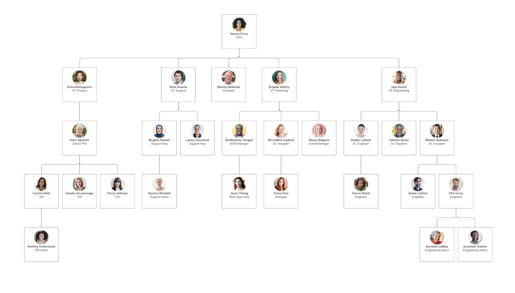 Org chart example (Click on image to modify online)