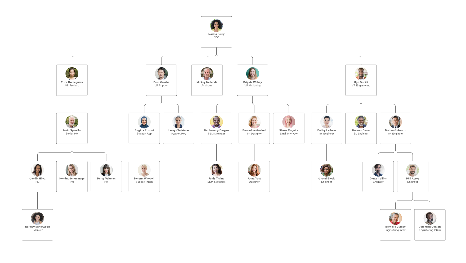Org Chart Example (Click on image to modify online)