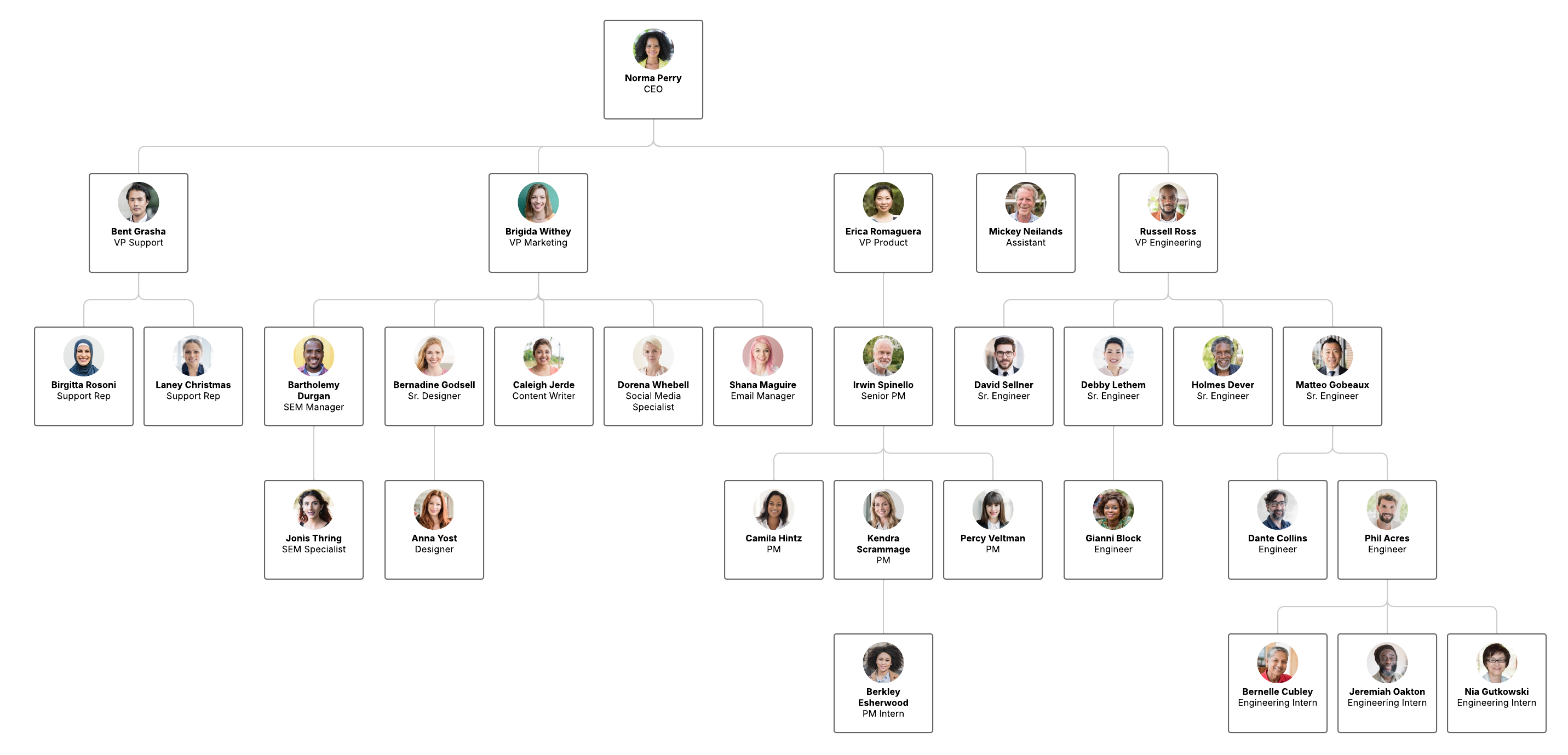 Increase transparency within your organization using the pay equity org chart. This template is available to team and enterprise users.