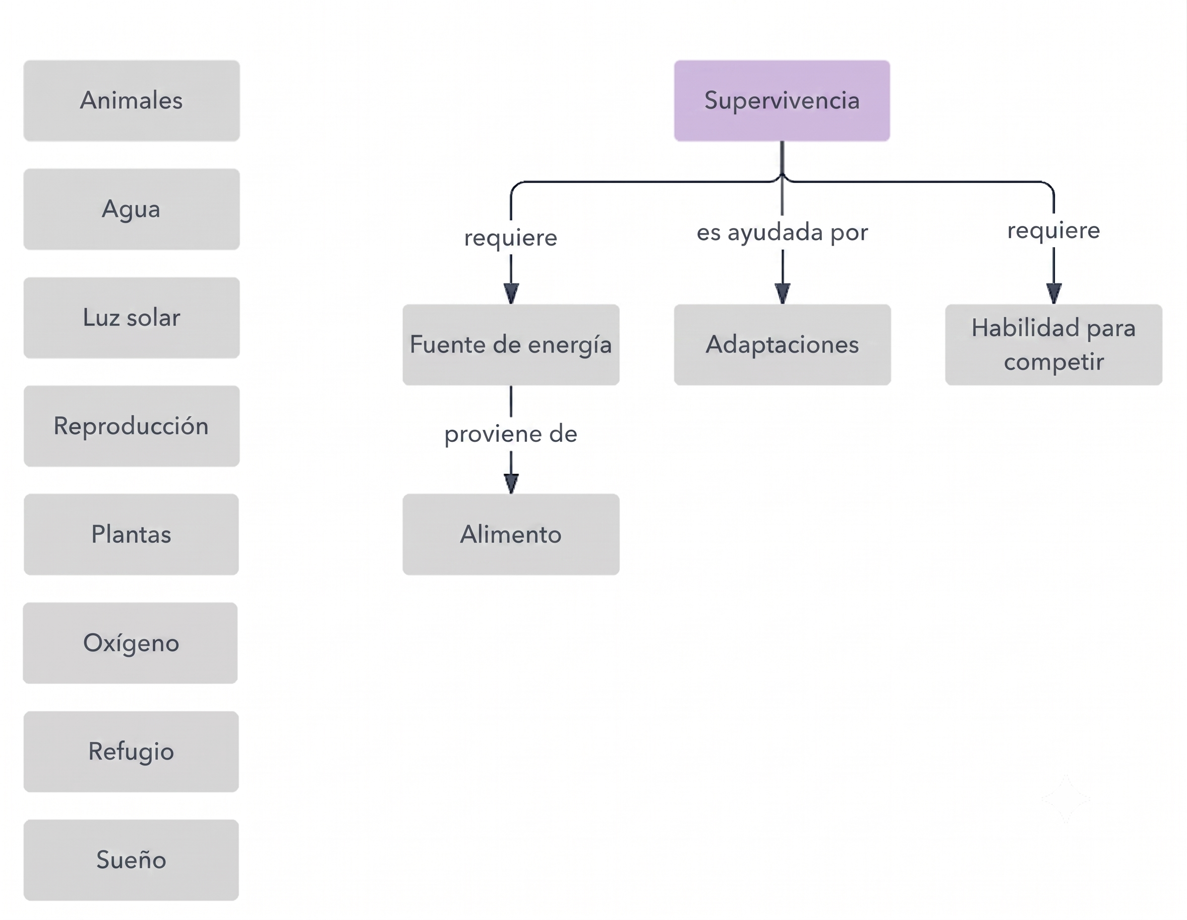 Mapa conceptual para educación
