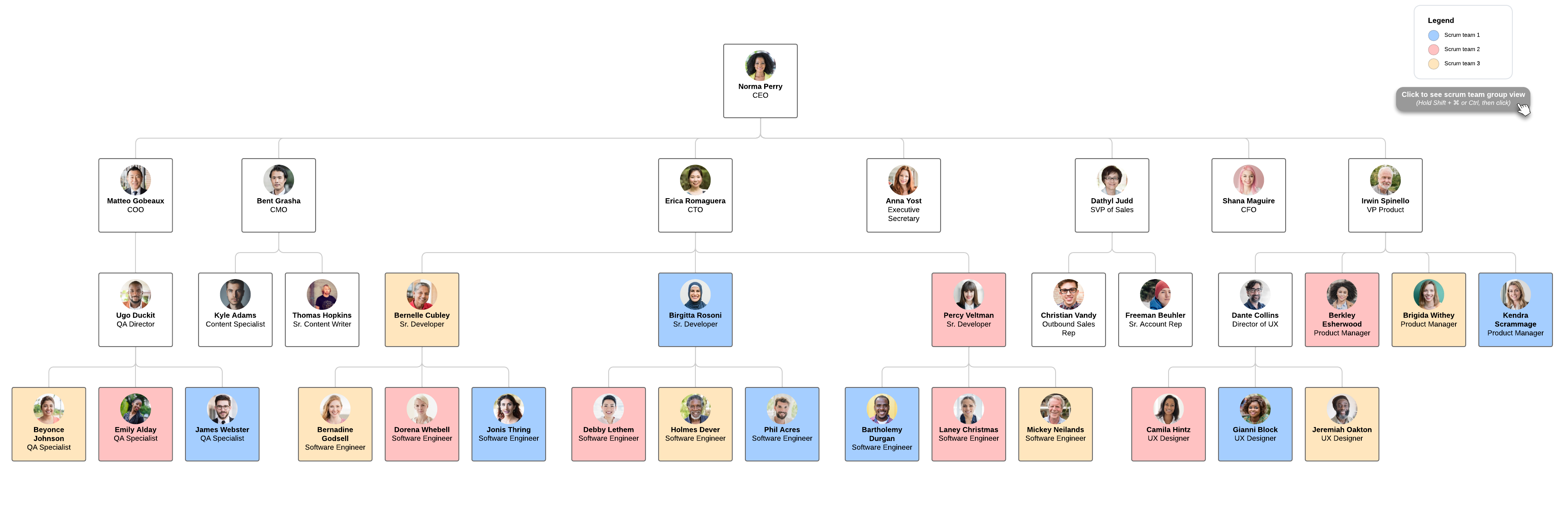 Organograma de equipe do Scrum