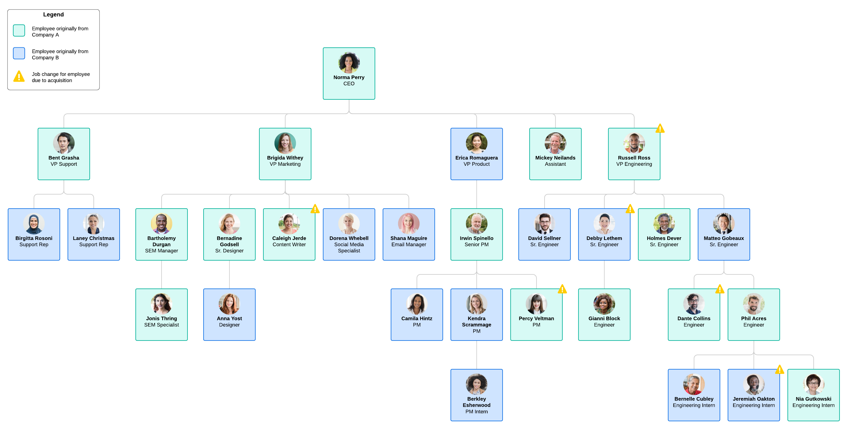 Org chart for mergers and acquisitions (Click on image to modify online)