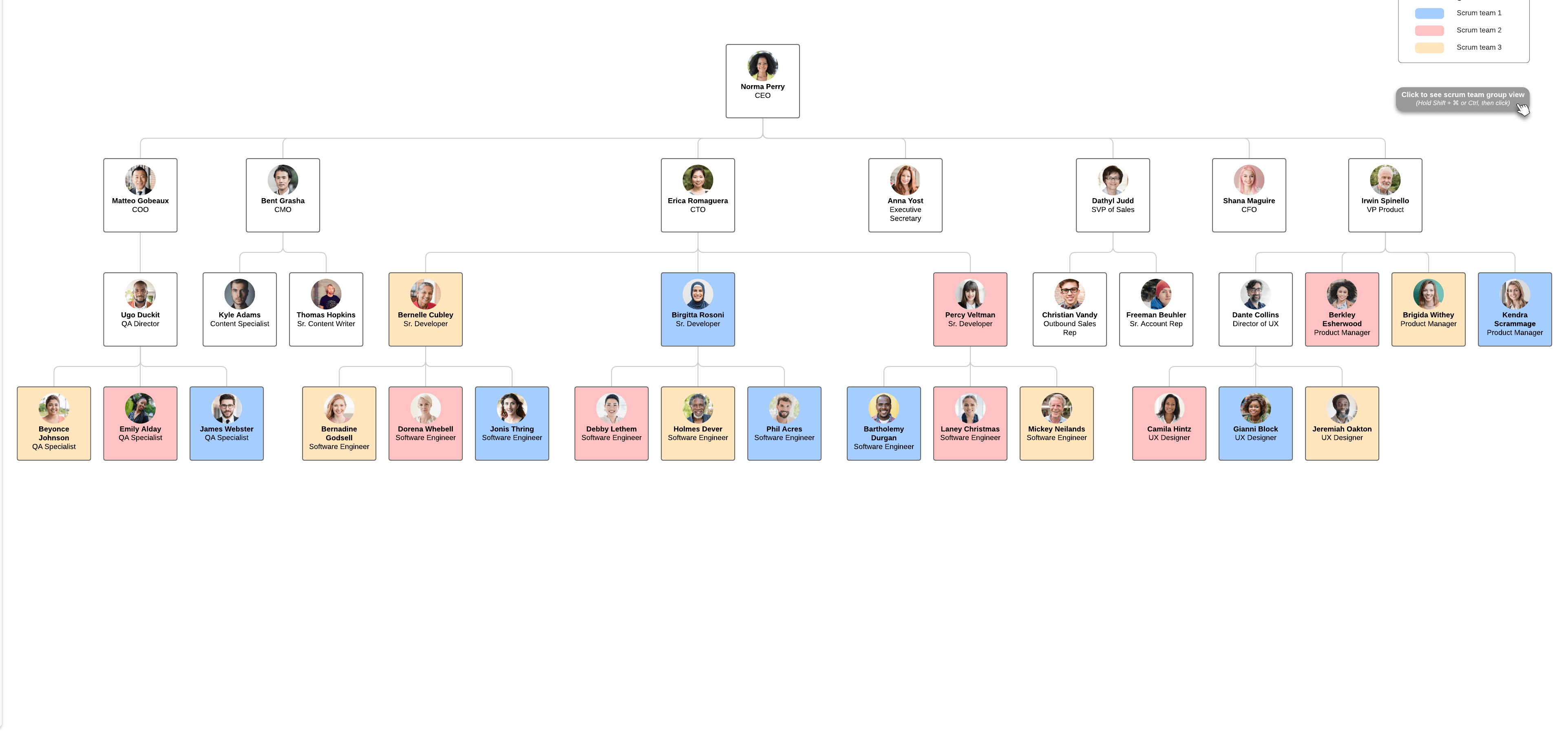 Team-based org chart example (click on image to modify online)