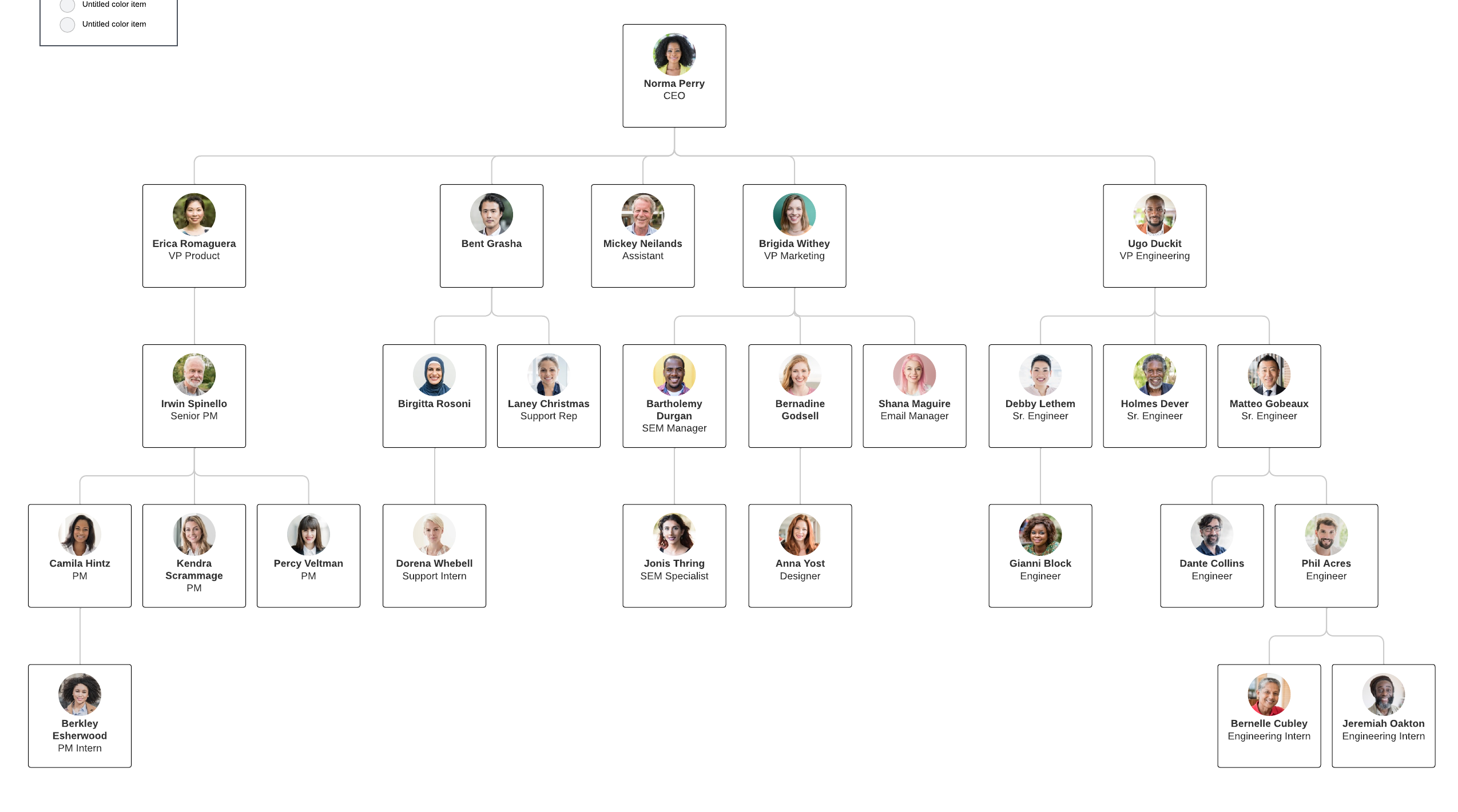 a complex Org chart template example, useable within Lucid products.