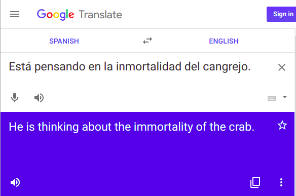 Google translation of a Spanish idiom