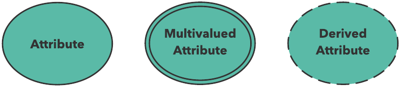 ER diagram attributes