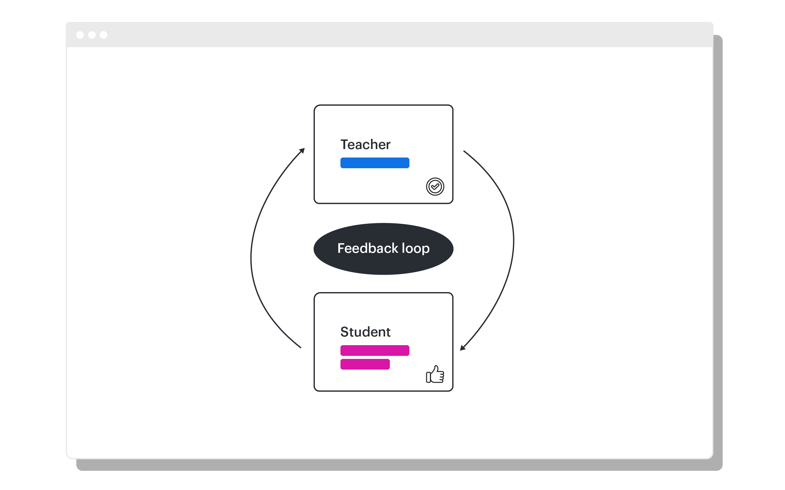 the student and teacher feedback cycle